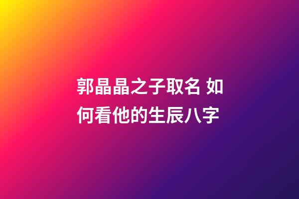 郭晶晶之子取名 如何看他的生辰八字